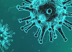 logo quebrantehuesos Casa rural Os Ormos Jaca Pirineo